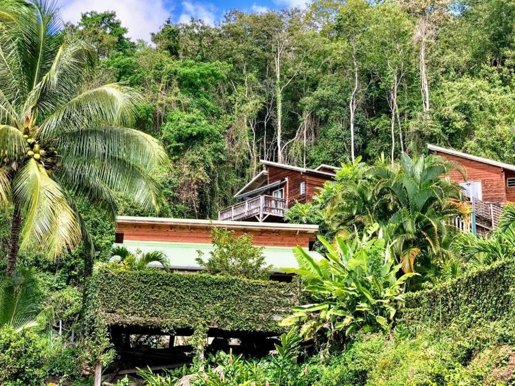 Le Bougainvillier Blanc Hotel ปวงต์-นัวร์ ภายนอก รูปภาพ