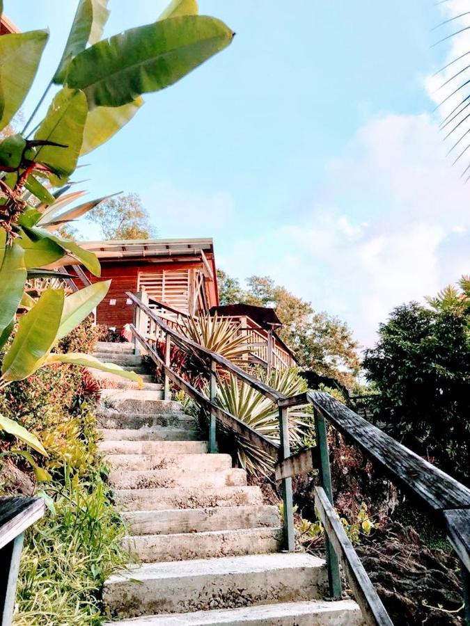 Le Bougainvillier Blanc Hotel ปวงต์-นัวร์ ภายนอก รูปภาพ